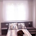 Estor screen enrollable Metal Efficiency 1% de apertura